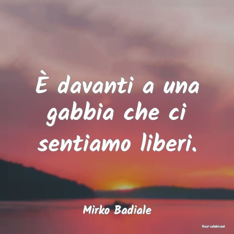 frasi di Mirko Badiale