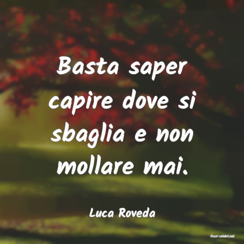 frasi di  Luca Roveda
