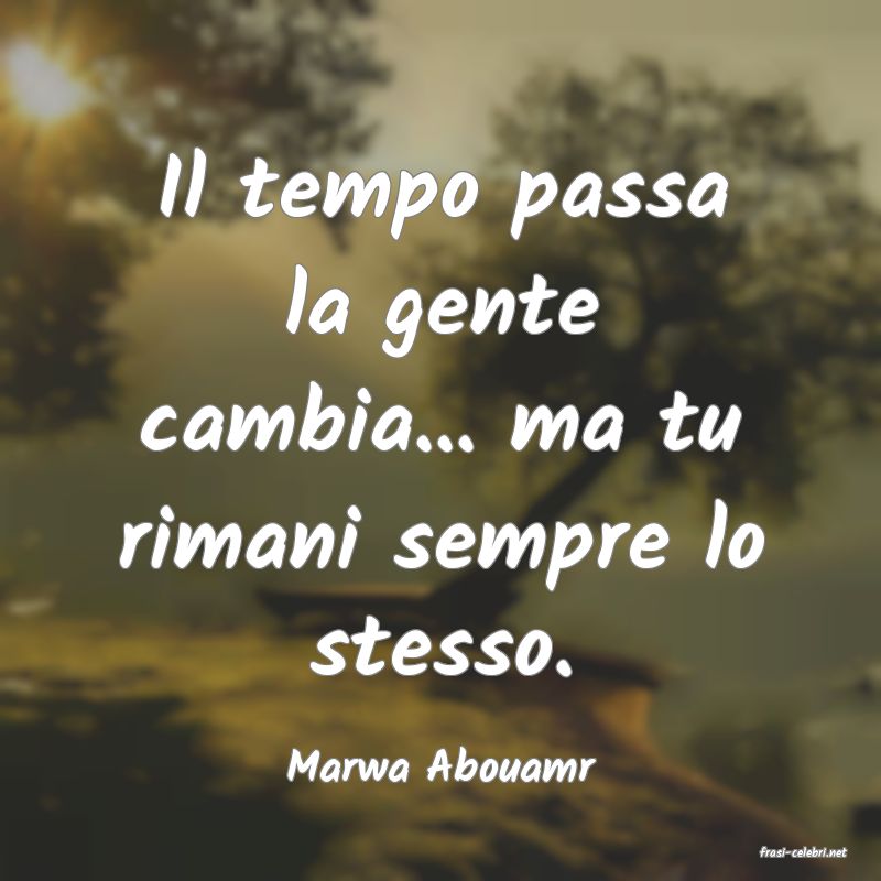 frasi di  Marwa Abouamr
