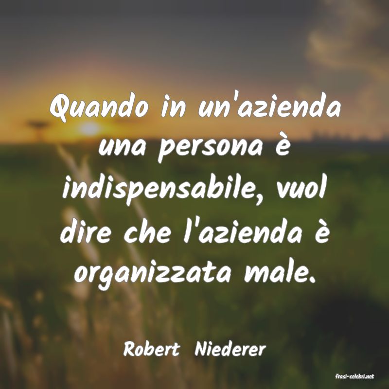 frasi di Robert  Niederer