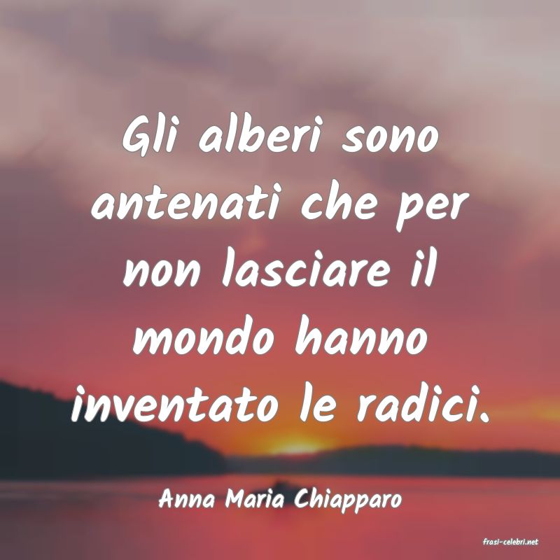 frasi di Anna Maria Chiapparo