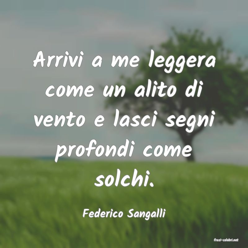 frasi di  Federico Sangalli
