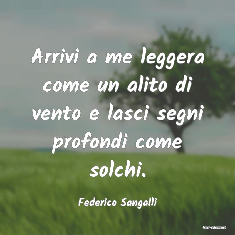 frasi di  Federico Sangalli
