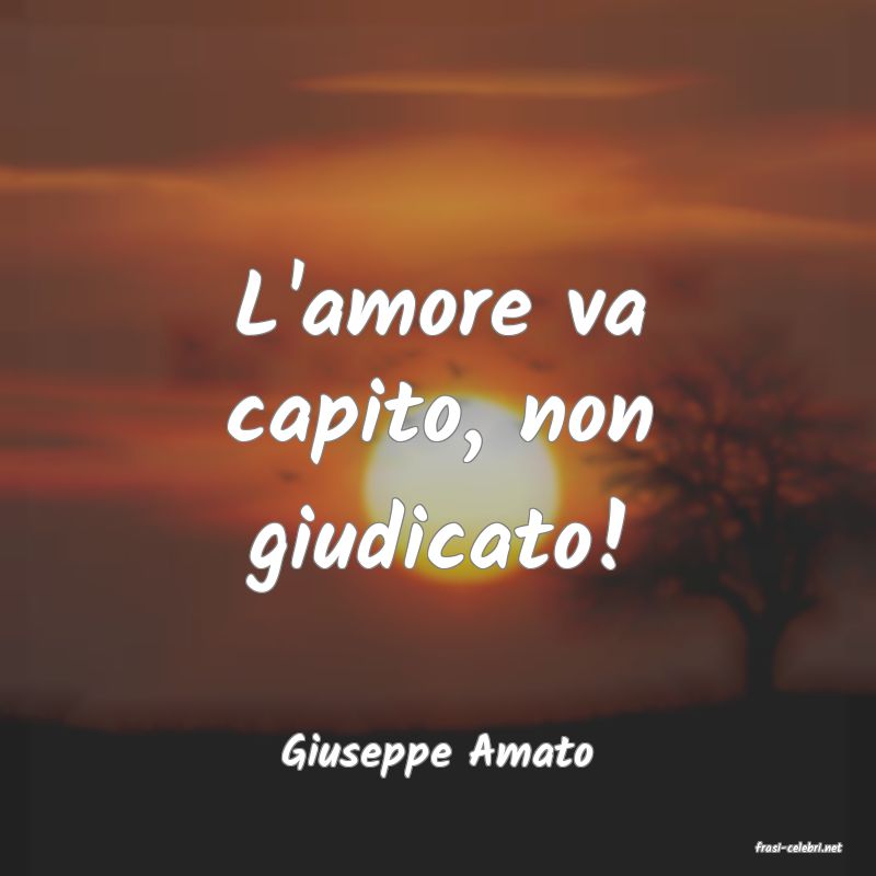 frasi di  Giuseppe Amato
