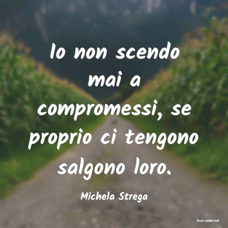 frasi di  Michela Strega
