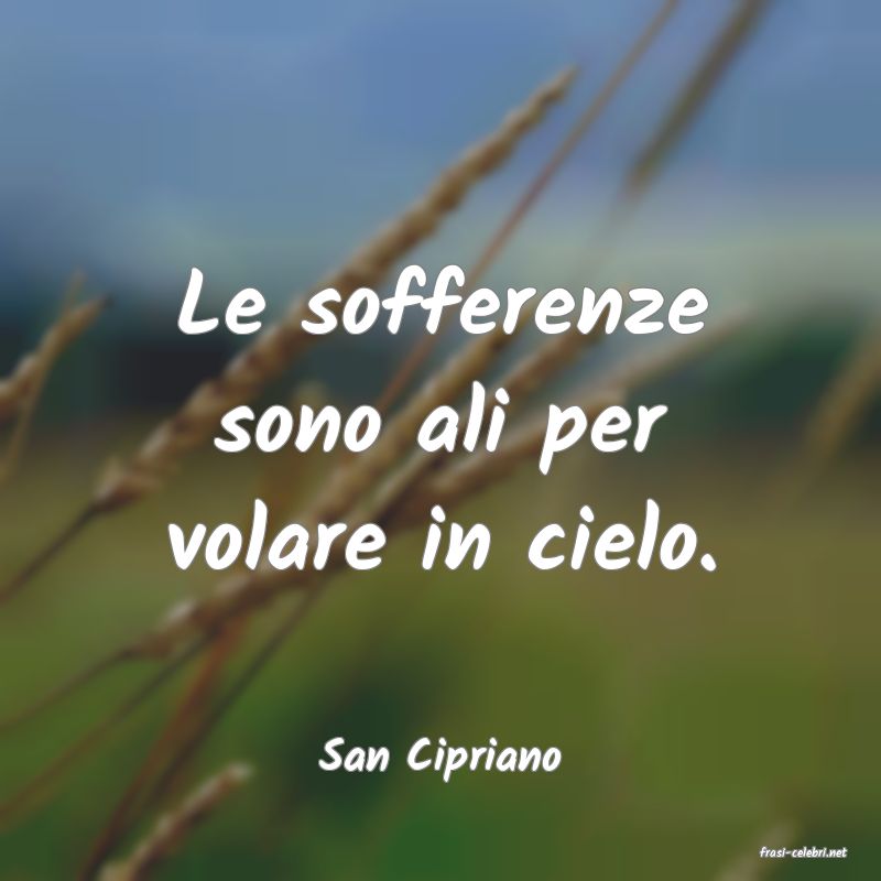 frasi di  San Cipriano
