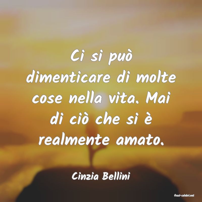 frasi di  Cinzia Bellini
