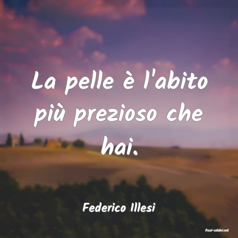frasi di  Federico Illesi
