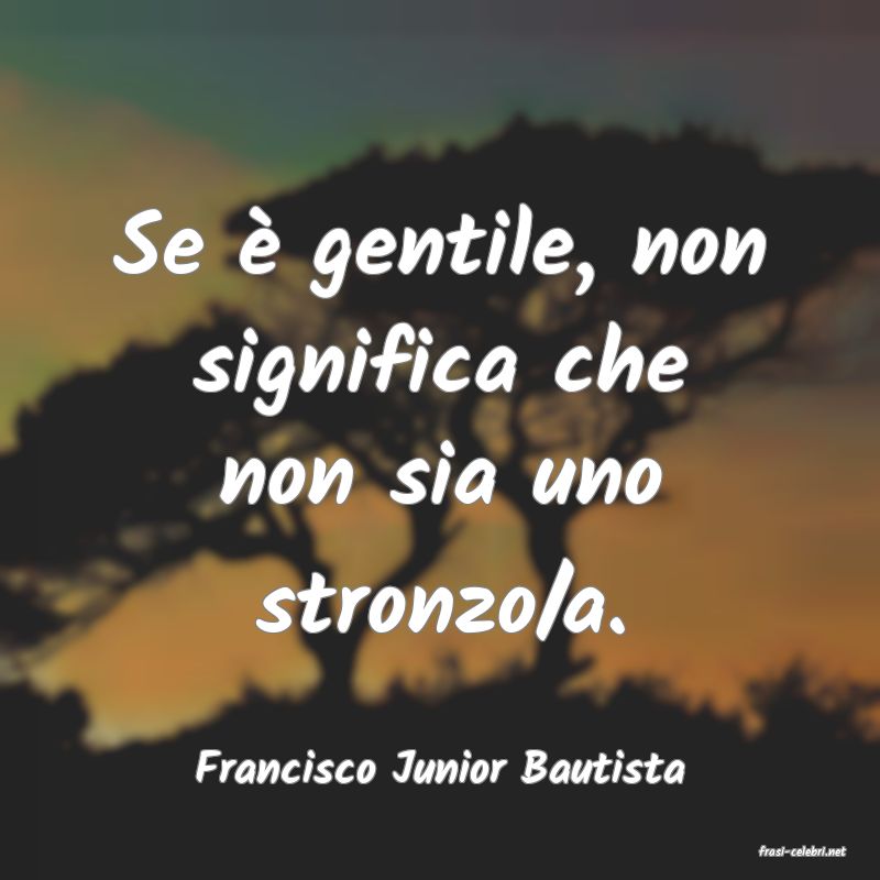 frasi di  Francisco Junior Bautista
