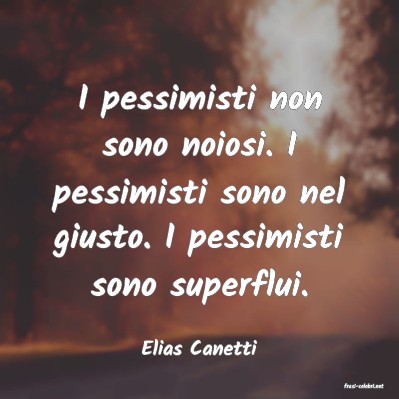 frasi di  Elias Canetti
