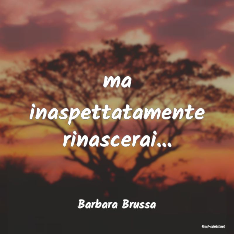 frasi di  Barbara Brussa
