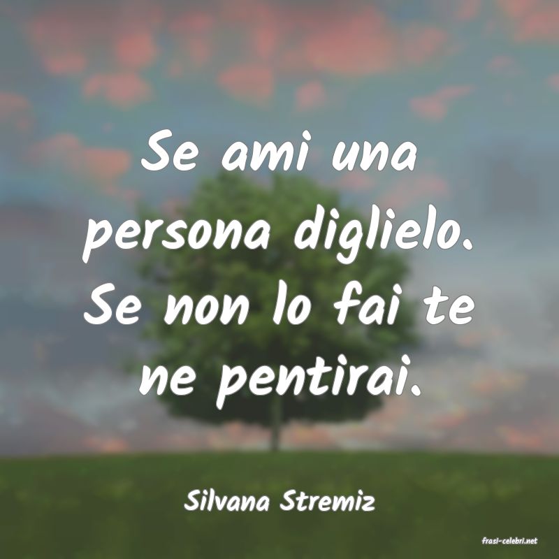 frasi di Silvana Stremiz