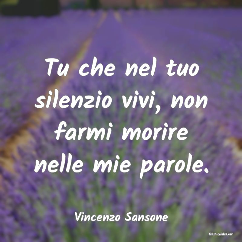 frasi di Vincenzo Sansone