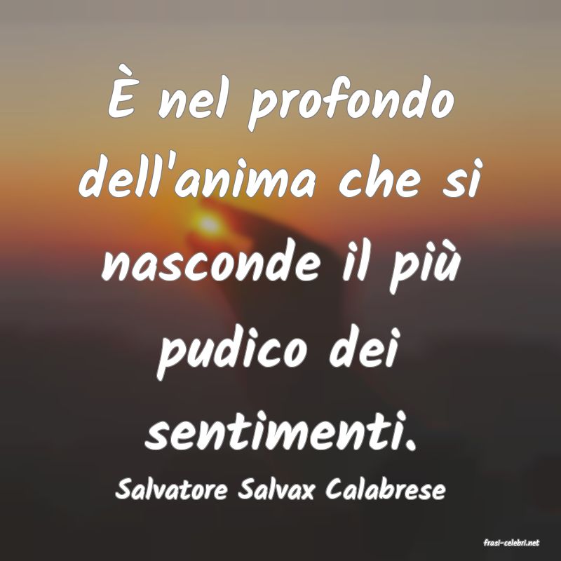 frasi di  Salvatore Salvax Calabrese
